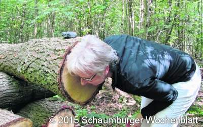 Den Leistruper Wald spielerisch entdecken