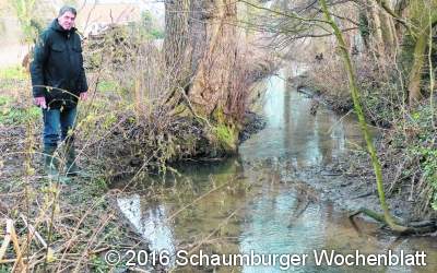 Erlen und Eschen für die Mühlenaue geplant