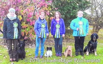Einhundert Starter beim Mensch-Hund-Turnier