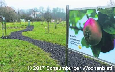 Heimatfreunde denken an eigenen Apfelsaft