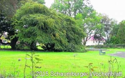 Liegen und Baum für Volkspark