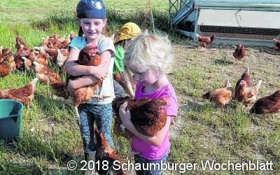 Spannendes rund um Huhn und Ei entdeckt
