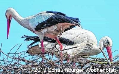 Brutgeschäft 