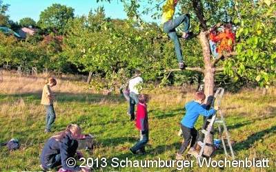 Der Weg vom Apfel zum köstlichen Saft