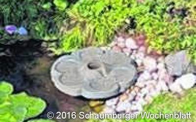 Natur-Erlebnis-Garten bei der offenen Pforte entdecken