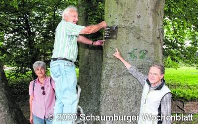 Blutbuche und Trompetenbaum mit Schildern gekennzeichnet