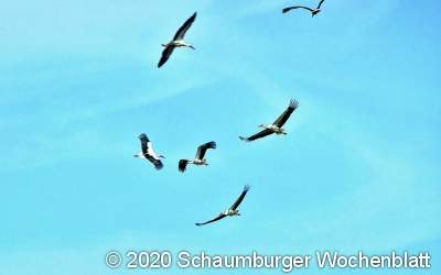 Auf dem Weg in den Süden