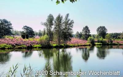 Sonntagsausflug in die Südhei...