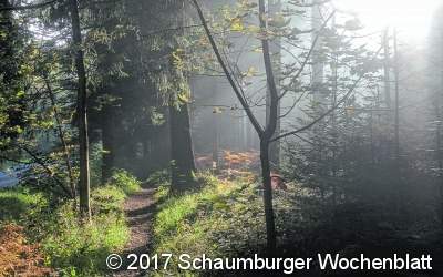 Gesucht: Lieblingsplatz in Schaumburg
