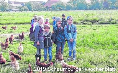 Wenn Hühner vor der Kita Eier legen