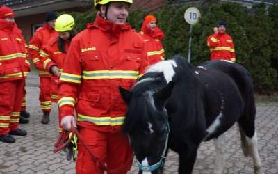 Rettung von Tieren<br>in Katastrophenlagen