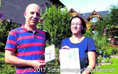 Schwalben nehmen auch Kunstnester an