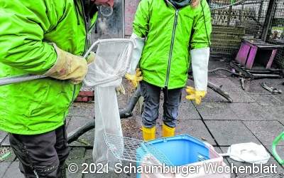 Schutzstation
nimmt Tiere auf