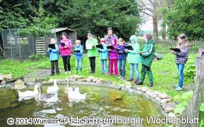 Tiere beobachten und selber malen