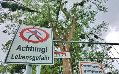 Fehlende Standsicherheit und Totholz
