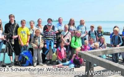 Gelbbauchunken, Graugänse und Kormorane unter Beobachtung