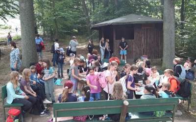 Waldjugendspiele für die Grundschüler gestaltet