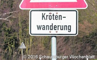 Schutz für Frosch und Kröte auf Wanderung