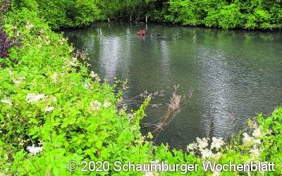 Feuerwehr rettet Pferd aus Teich