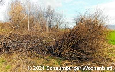 Strauchschnitt durch
Straßenwärter