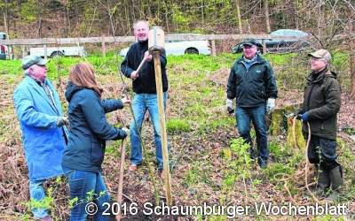 SPD pflanzt Bäume