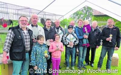 Neun Gockel halten eine Stunde ihren Schnabel