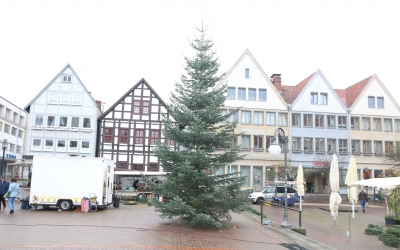 Weihnachtsbaum schon auf dem Markt