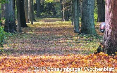 Frische Farbe für den Bürgerpark