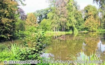 Herbstlicher Farbenzauber