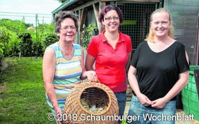 Der Erlös aus Hausflohmarkt kommt den Kaninchen zugute