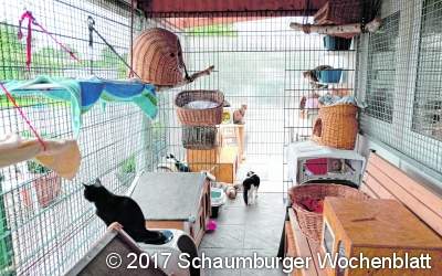 Segen und Fluch zugleich