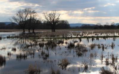 Naturschutzgebiet und Artenvielfalt erhalten