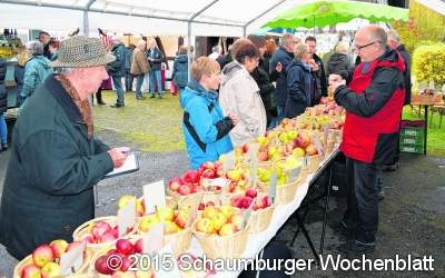 Alte Apfelsorten und Apfelstiegen
