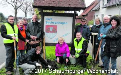 Bergtrift wird 