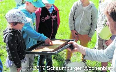 Zwei Imker begrüßen eine Kindergartengruppe