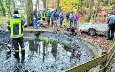 Wasserspeier und 
Schützenbrunnen: 