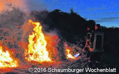 Tannenbrand in Hagenburg
