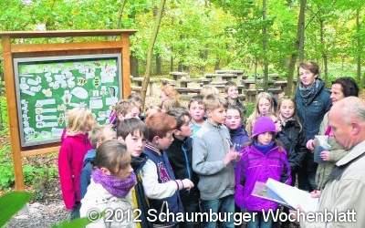 Das Waldklassenzimmer bekommt eine neue Tafel