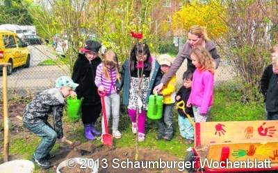 Birnbaum soll neue Wurzeln schlagen