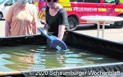 Wie die Einwohner reagierten