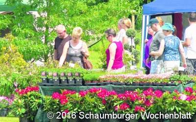 British Weekend im Schaumburger Land