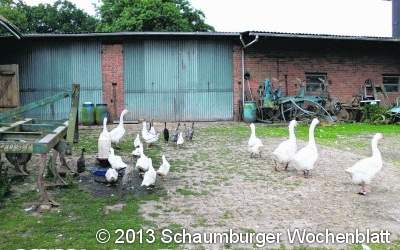 Kinder besuchen Bio-Bauern