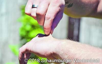 Wasser ist die Grundlage des Lebens, sein Treibstoff