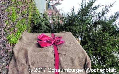 Ein Paket steht am Baum