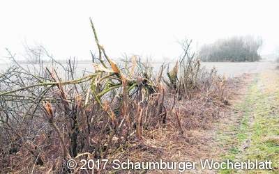 Gehölz- und Grenzsteinschaden im Feld