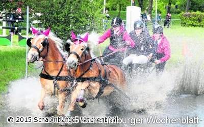 Mit Motor- und Pferdekraft geht es in Vollspeed ab durch den Wassergraben