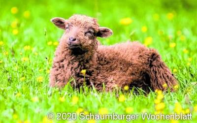 Natur entdecken