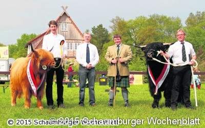 Zottelige Highland Cattles und zahlreiche Traktor-Oldtimer