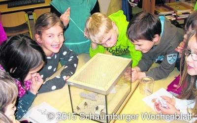 Kinder erkunden Flora und Fauna