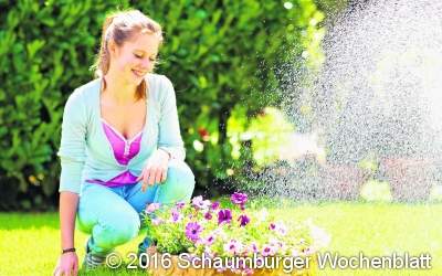 Wenn sich der Sommer